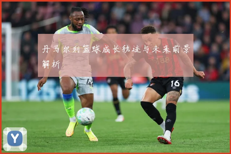 丹马尔利篮球成长轨迹与未来前景解析